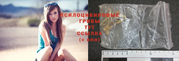 шишки Волосово